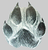 lobo